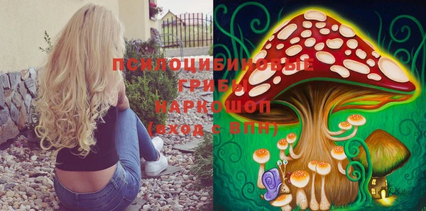 метамфетамин Аркадак