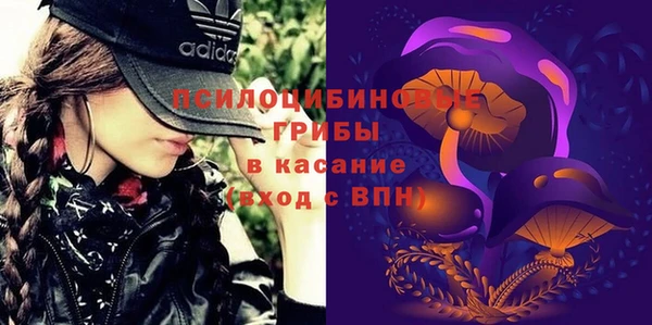 прущая мука Армянск