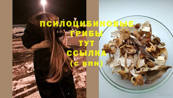 винт Арсеньев