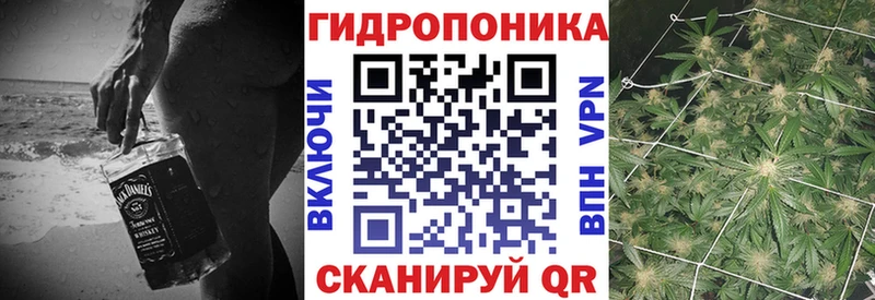 Каннабис Ganja  Сясьстрой 